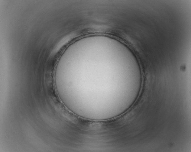 X0000114181211200910221706