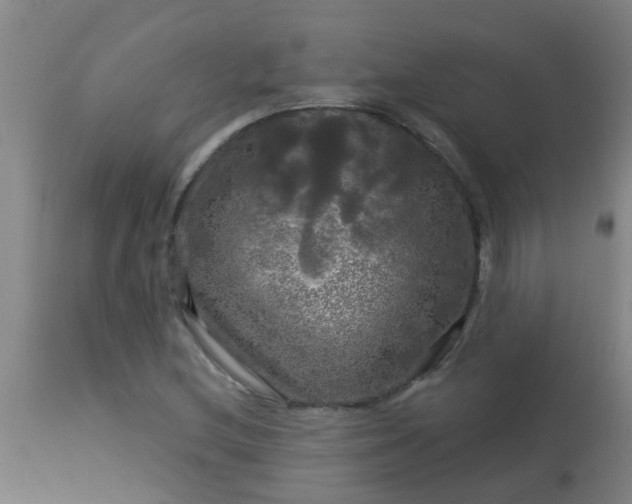 X0000114181212200910221706