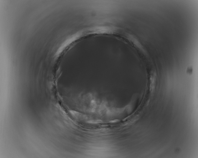 X0000114181213200910221706