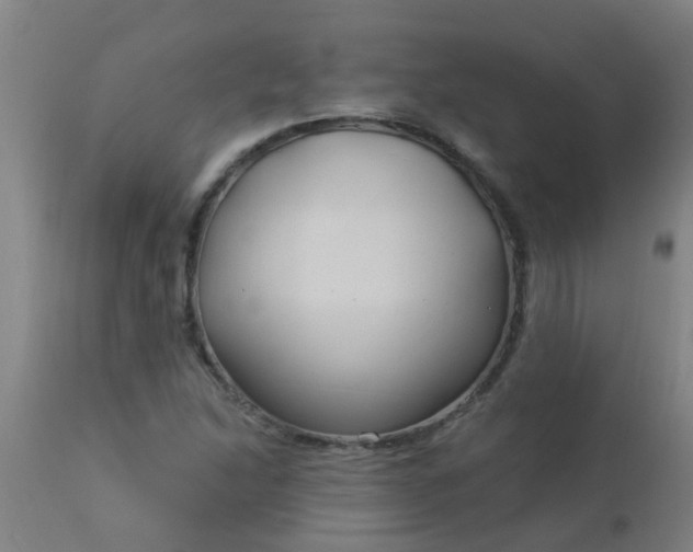 X0000114181214200910221706