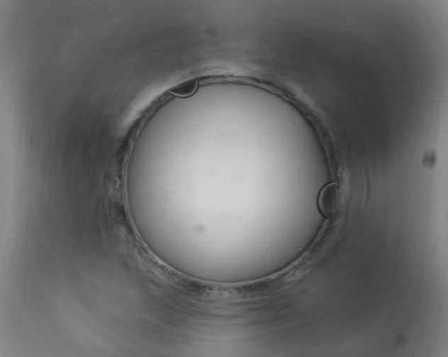 X0000114181215200910221706