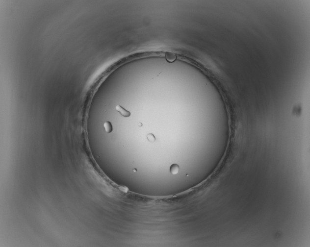 X0000114181216200910221706