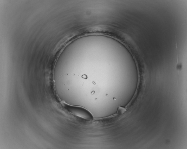 X0000114181217200910221706