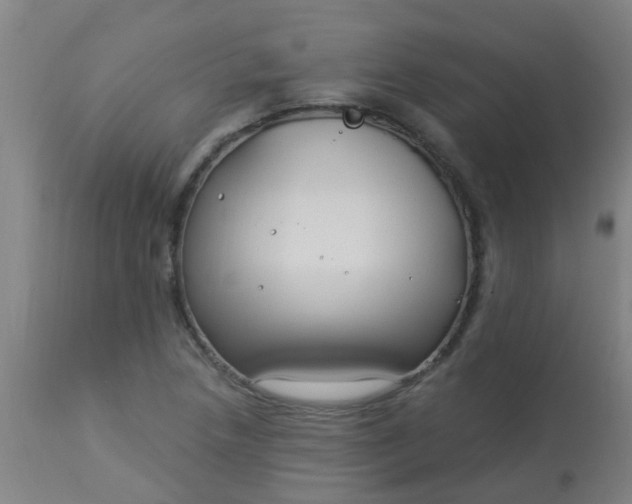 X0000114181218200910221706