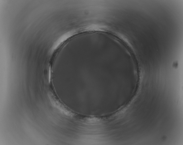 X0000114181219200910221706