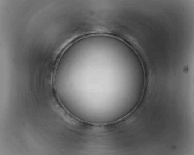 X0000114181220200910221706