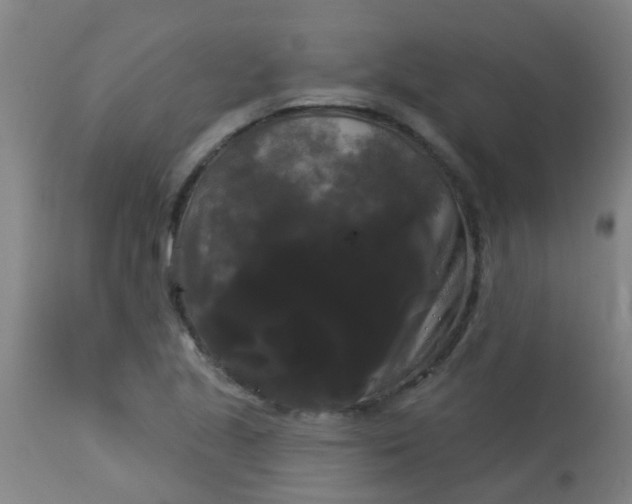 X0000114181221200910221706