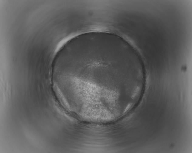 X0000114181222200910221706