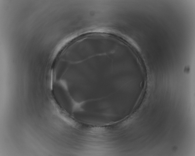 X0000114181223200910221706