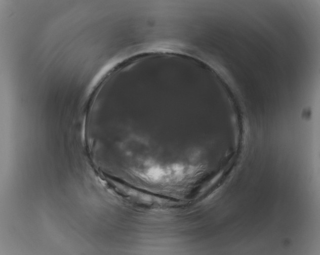 X0000114181224200910221706