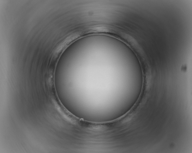 X0000114181225200910221706