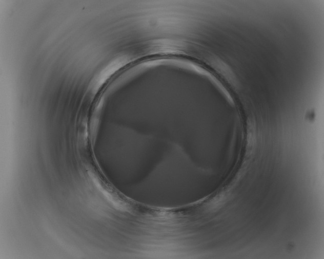 X0000114181226200910221706