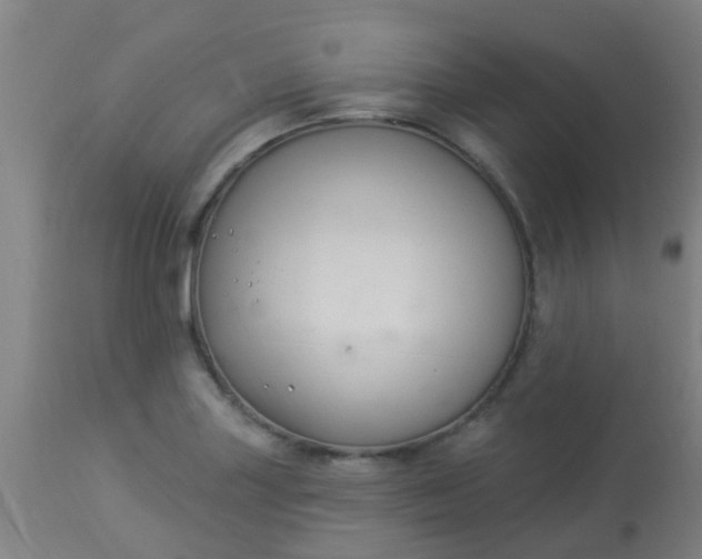 X0000114181227200910221706