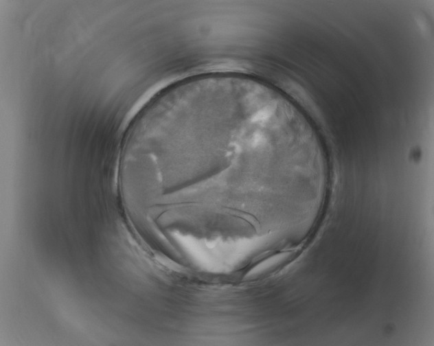 X0000114181228200910221706