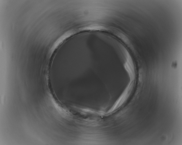 X0000114181229200910221706