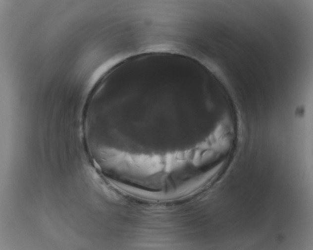 X0000114181230200910221706