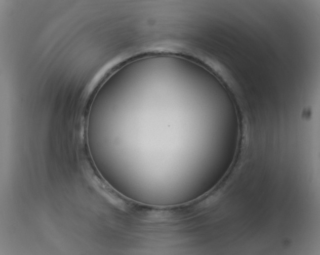 X0000114181232200910221706