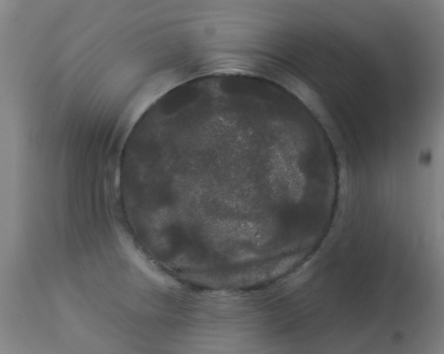 X0000114181234200910221706