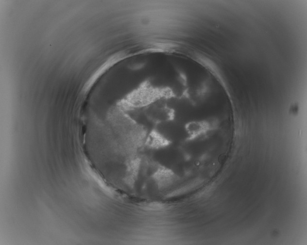 X0000114181235200910221706