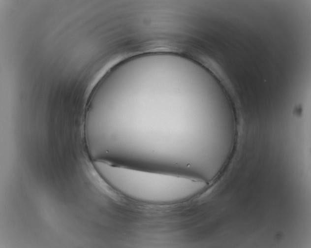 X0000114181236200910221706