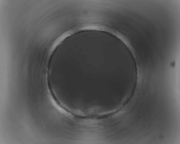 X0000114181237200910221706