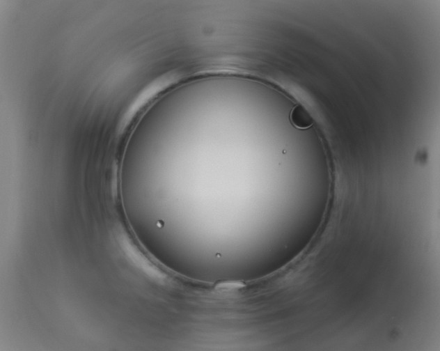 X0000114181238200910221706