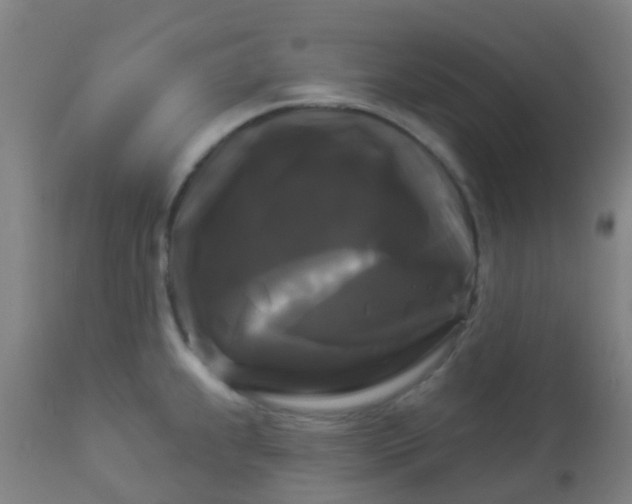 X0000114181239200910221706