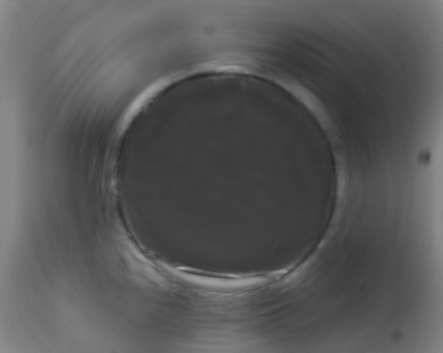 X0000114181240200910221706