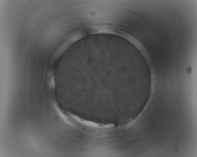 X0000114181241200910221706