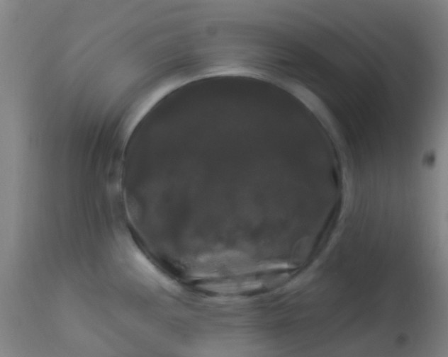 X0000114181244200910221706