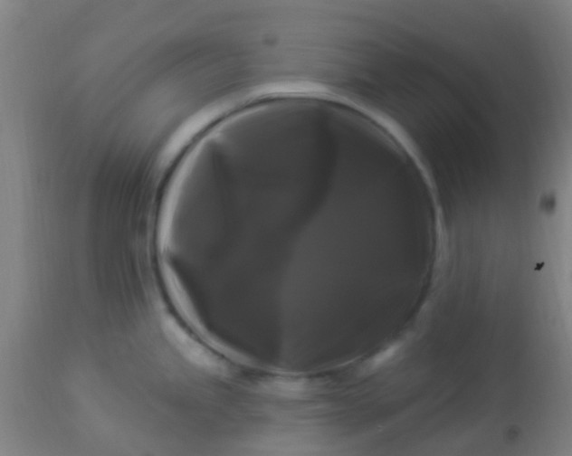 X0000114181245200910221706