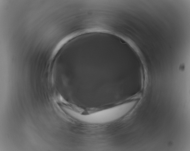 X0000114181246200910221706