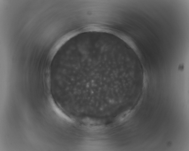 X0000114181247200910221706