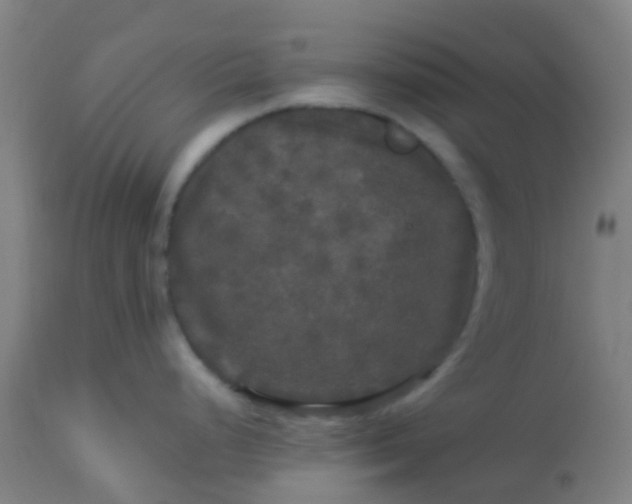 X0000114181248200910221706