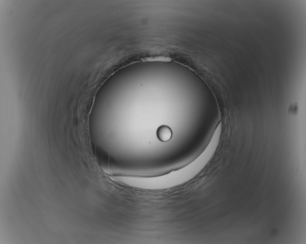 X0000114181249200910221705