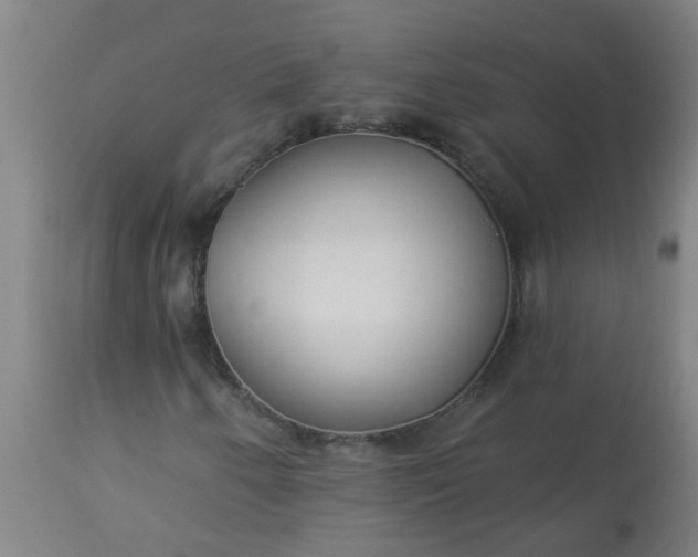 X0000114181250200910221705