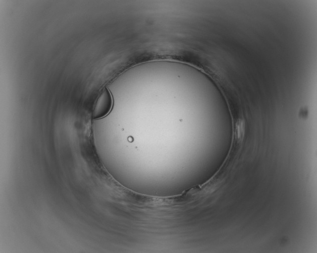 X0000114181251200910221705