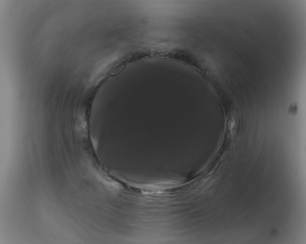 X0000114181252200910221705