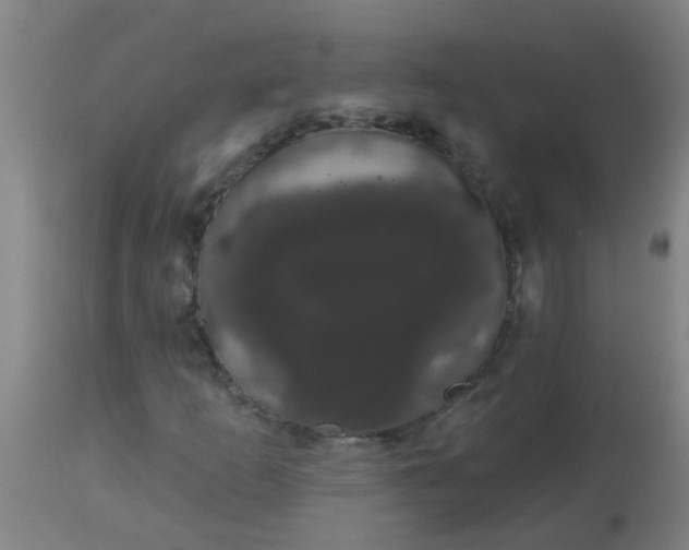 X0000114181253200910221705