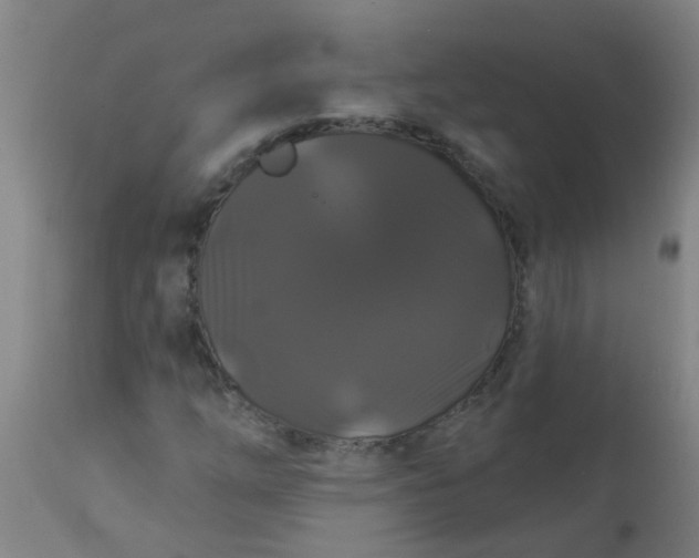 X0000114181254200910221705