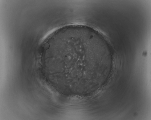 X0000114181255200910221705