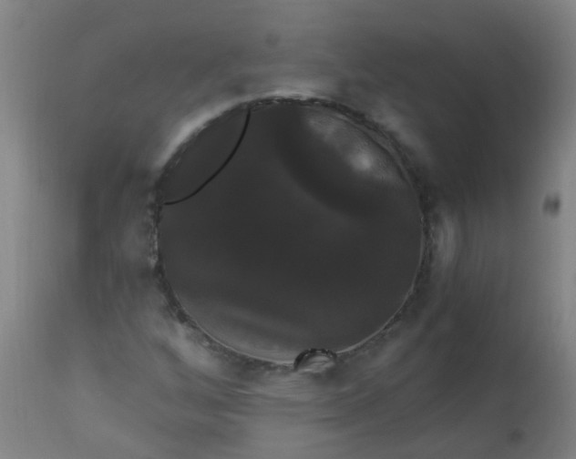 X0000114181256200910221705