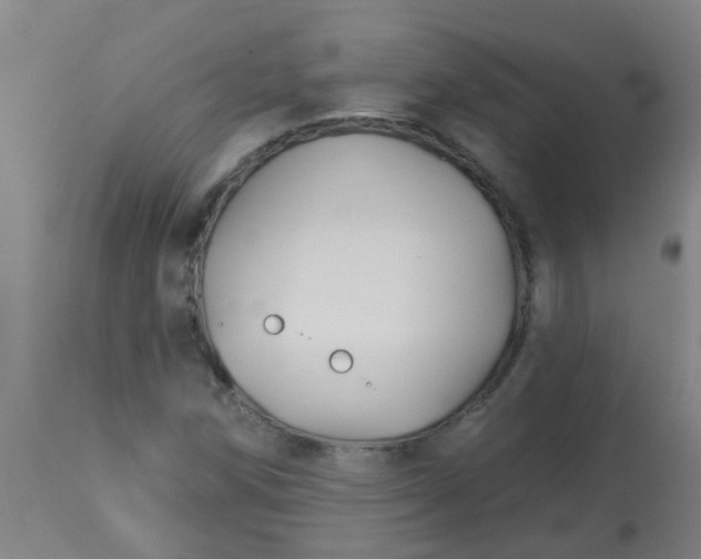 X0000114181258200910221705