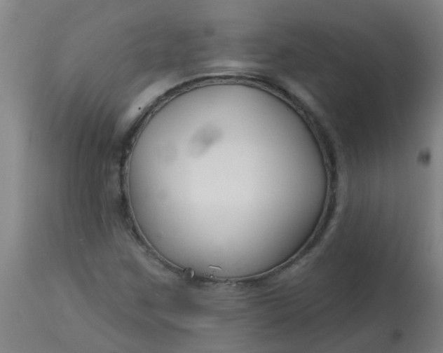 X0000114181259200910221705