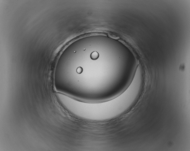 X0000114181260200910221705