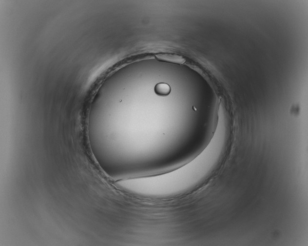 X0000114181261200910221705