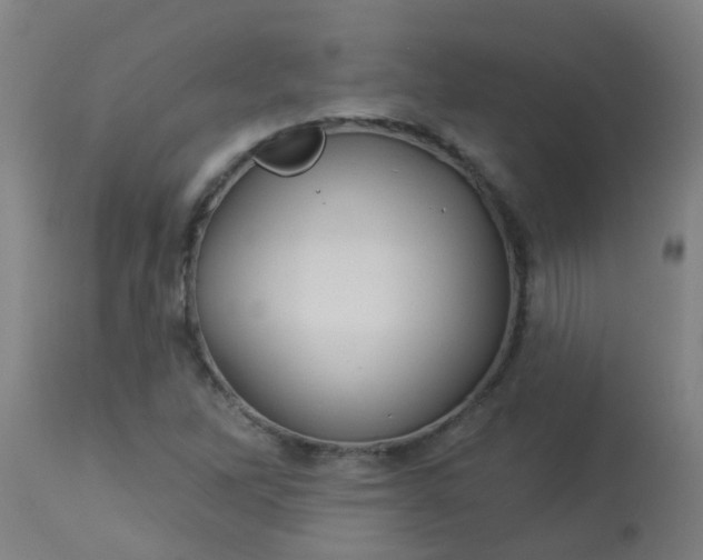 X0000114181262200910221705