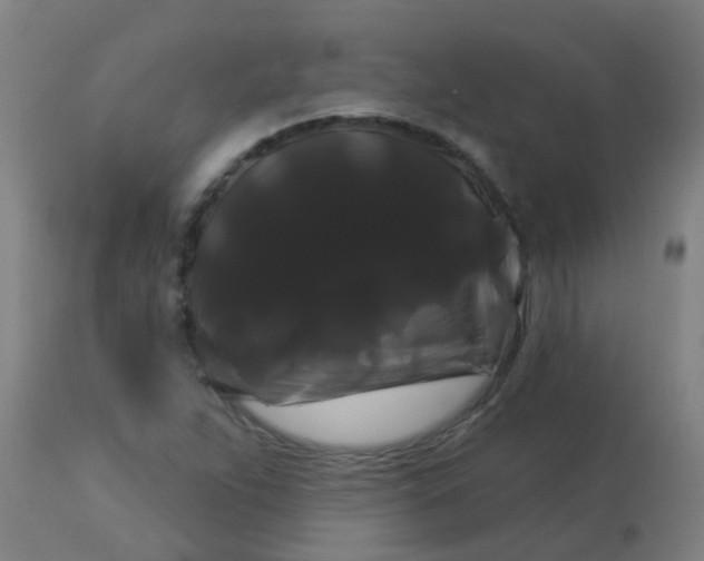 X0000114181263200910221705