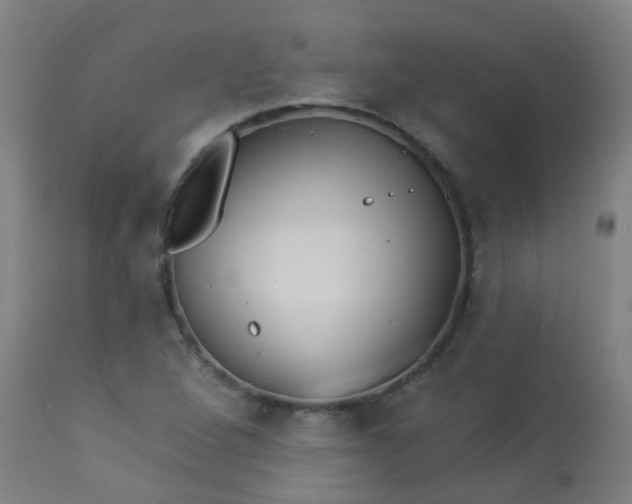 X0000114181264200910221705