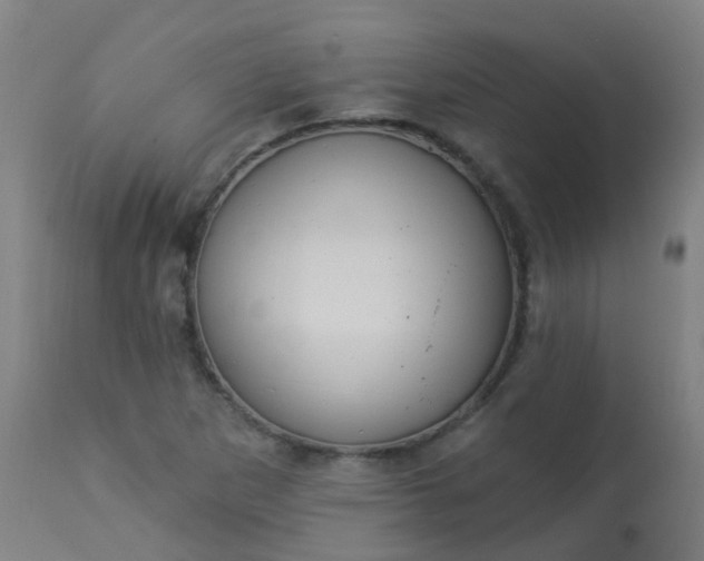 X0000114181265200910221705